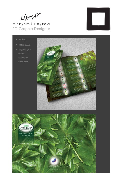 شرکت توسعه تجارت رویکرد نوین