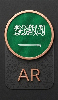 Arabic Reading website content in Arabic